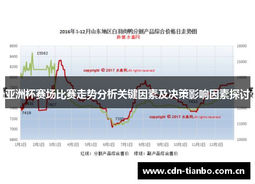 亚洲杯赛场比赛走势分析关键因素及决策影响因素探讨