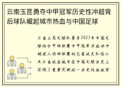 云南玉昆勇夺中甲冠军历史性冲超背后球队崛起城市热血与中国足球